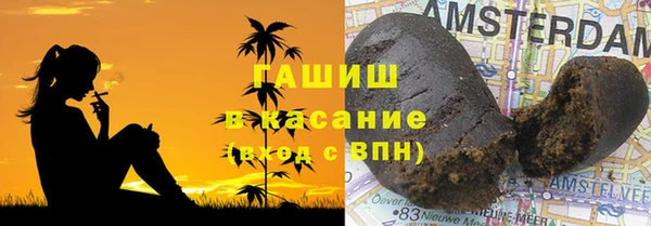 индика Верея